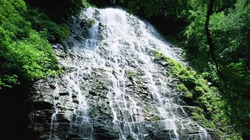 环保全自动节能
